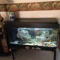 Acquario per pesci 250l con accessori