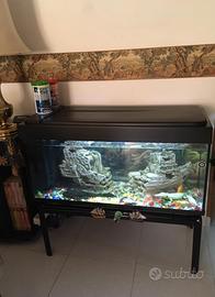 Acquario per pesci 250l con accessori