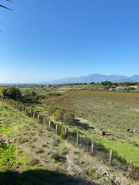 Azienda agricola maneggio