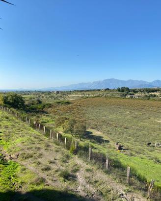 Azienda agricola maneggio