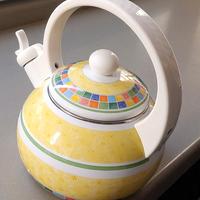 Villeroy & Boch Bollitore da cucina Twist Alea