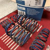 Molle Assetto H&R Porsche Cayman 718