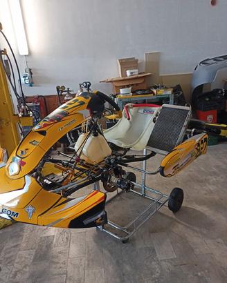 kart tk kart modello passion