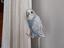 Immagine 4