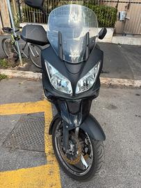 Permuta V strom dl 650