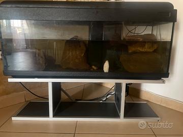 Acquario