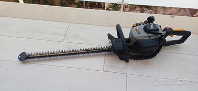 tagliasiepi alpina AHT 555