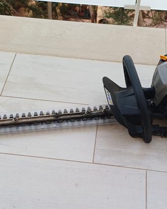 tagliasiepi alpina AHT 555