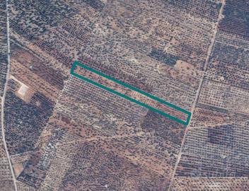 Terreni a Grumo Appula (BA)