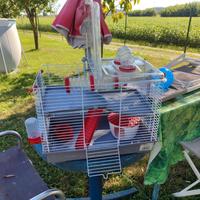 Gabbia per criceti con accessori € 35,00