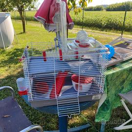 Gabbia per criceti con accessori € 35,00