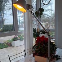 Artemide lampada da tavolo