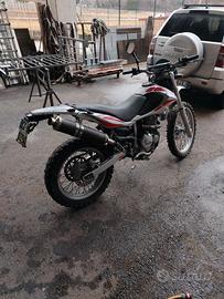 moto beta alp 4.0