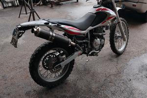moto beta alp 4.0