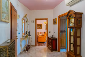 Spinea centralissimo