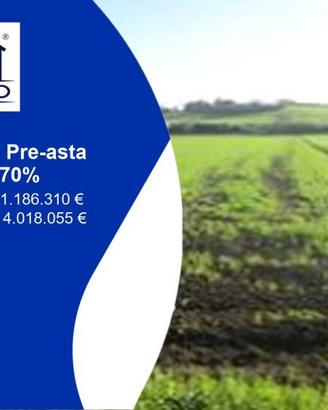 Immobile in asta di 83314 m² a Mondolfo