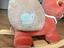 Immagine 3