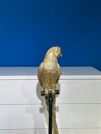 Parrot gold