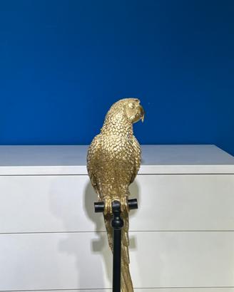 Parrot gold