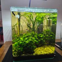 Acquario Cubo 30x30x35h completo