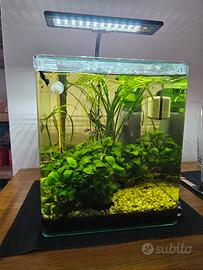 Acquario Cubo 30x30x35h completo