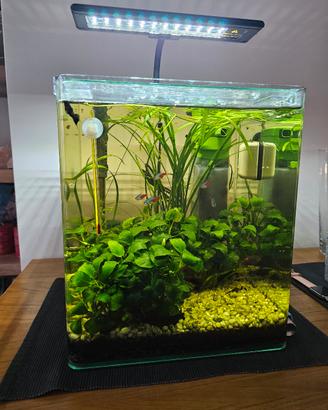 Acquario Cubo 30x30x35h completo