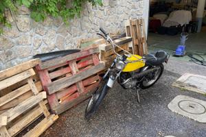 Benelli Tiger cross 50 - 1979