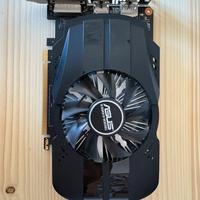 Scheda grafica asus 1050ti