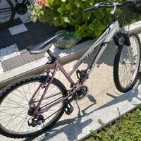 Mountain bike Bottecchia FX500 26"