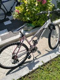 Mountain bike Bottecchia FX500 26"