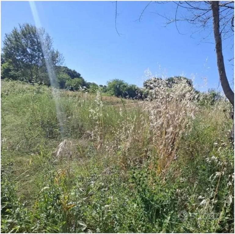 Immobile in asta di 5 m² a Morrovalle - Vista 5
