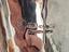 Immagine 4