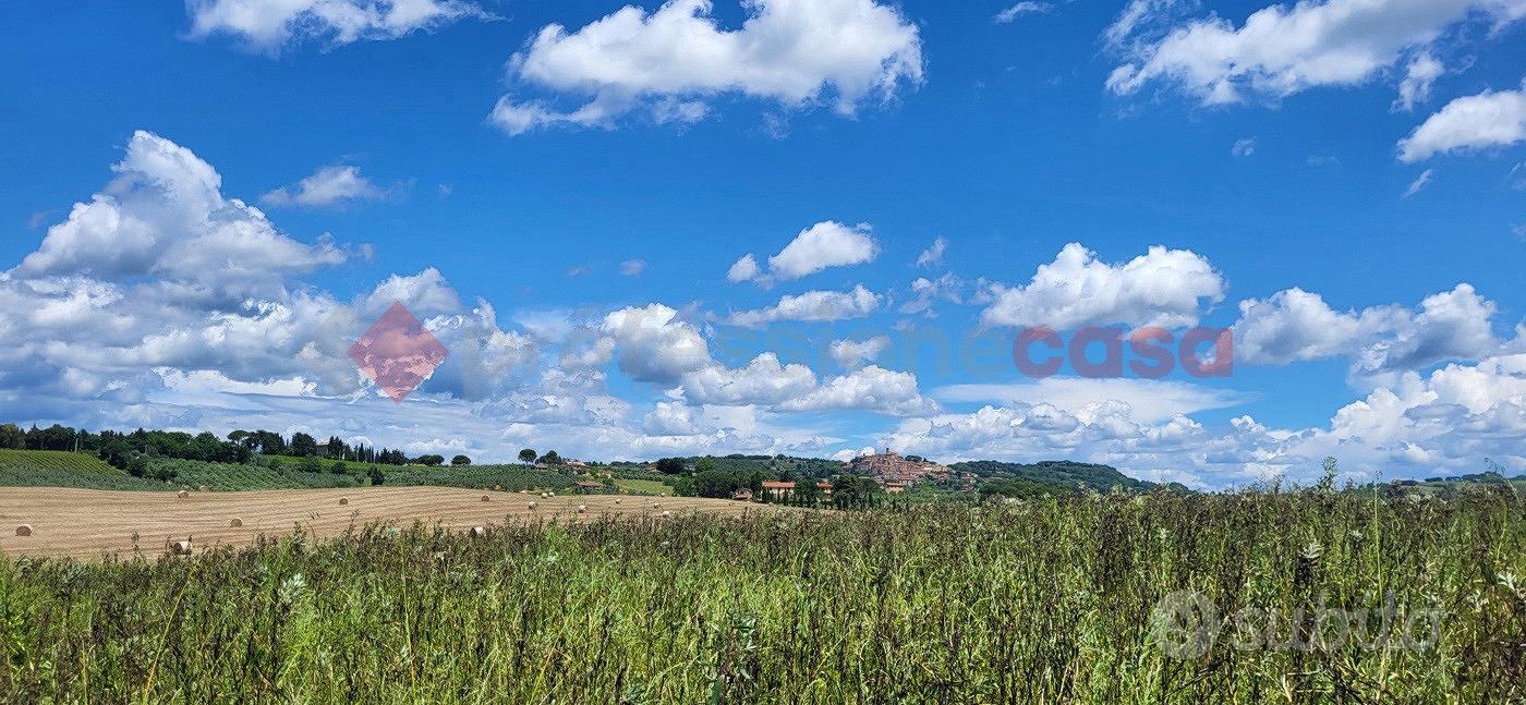 Terreno Agricolo Bibbona [TA-06VCG] - Vista 3