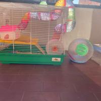 Gabbia grande criceto piu’ accessori