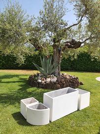 FIORIERA ANGOLARE ALTA