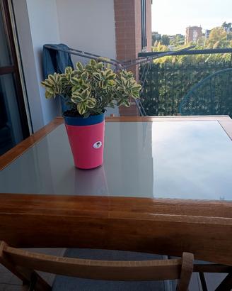 tavolo allungabile in legno e cristallo satinato