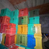 Cassette in plastica per frutta