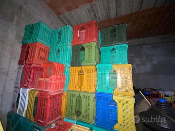 Cassette in plastica per frutta