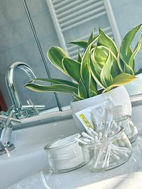 Set 3 contenitori kit cortesia ospiti