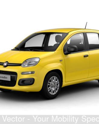 FIAT Panda 1.0 FireFly S&S Hybrid