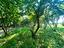 Immagine 10