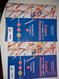 I colori della matematica 1.