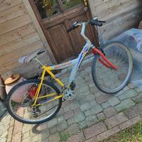 biciclette 