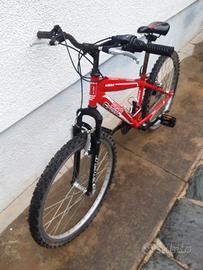 Due biciclette
