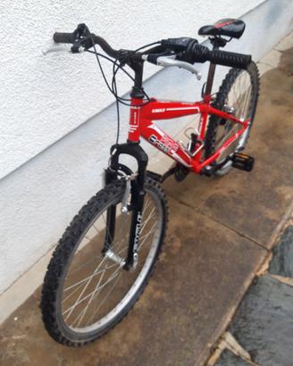 Due biciclette