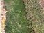 Immagine 11