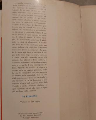 La corriera stravagante di John Steinbech