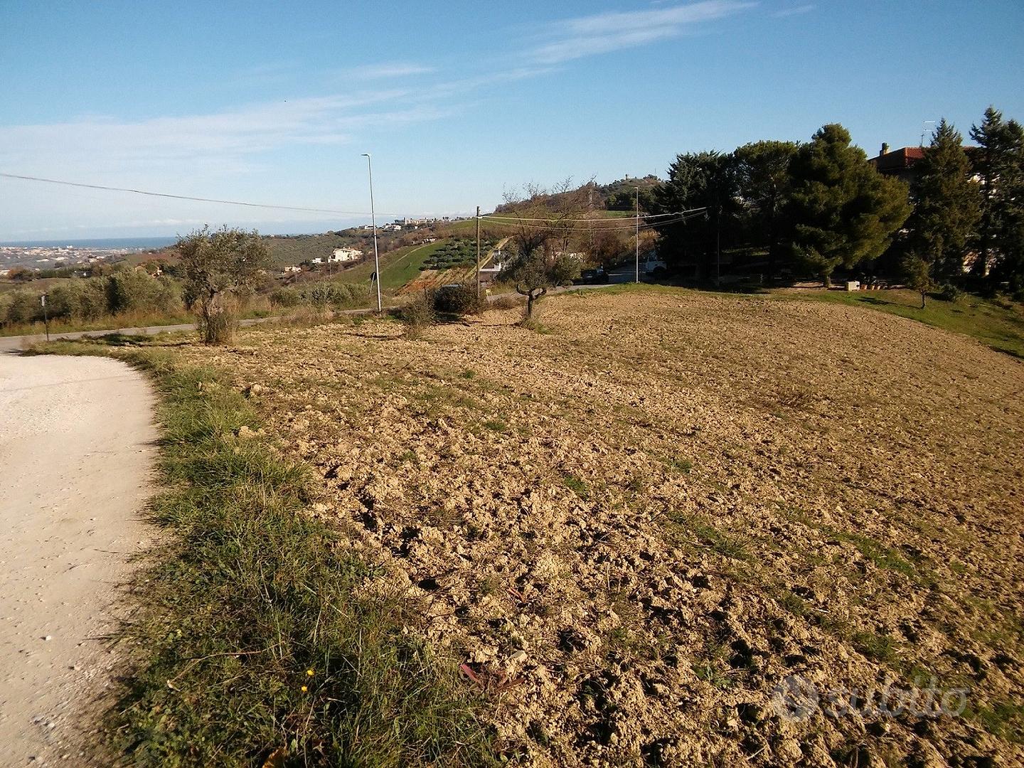 Terreno panoramico - Vista 2