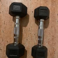 Manubri hex palestra