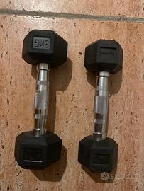 Manubri hex palestra